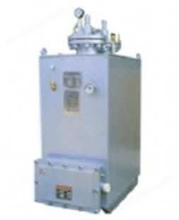 NXE-CPEX（C）电热式气化器