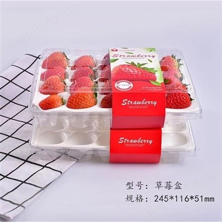 上海柏菱 蔬菜吸塑包装盒 水果盒 蔬果盒 草莓盒 可定制