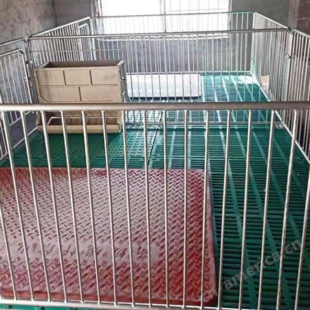 母猪仔猪保育床 单体双体保育床 复合板保育床工厂