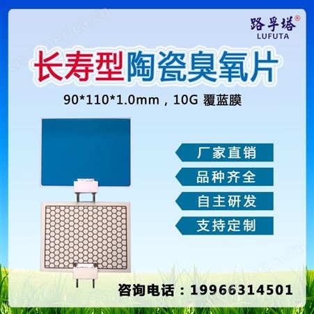 厂家定制10g臭氧陶瓷片 空气净化器配件 90*110 长寿型 可拔插 广东电子陶瓷厂家