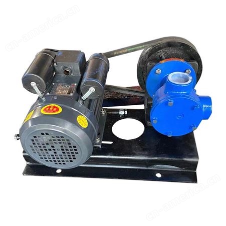 NCB-24/0.5内啮合齿轮泵-转子泵-内转齿轮泵-高粘度泵-膏体泵