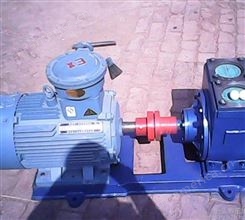 50YPB滑片泵-柴油泵-自吸7米泵-汽油泵-溶剂泵-酒精泵-装卸油泵