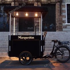 定制出口移动冰淇淋推车 雪糕车 冰激凌花 车移动售卖车 冰淇淋自行车