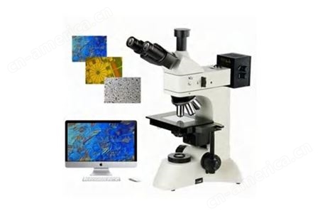 研究型透反射金相显微镜950系列