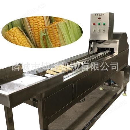 定制玉米加工成套设备 全自动玉米切割机 老玉米分段机 博泽玉米切头去尾机