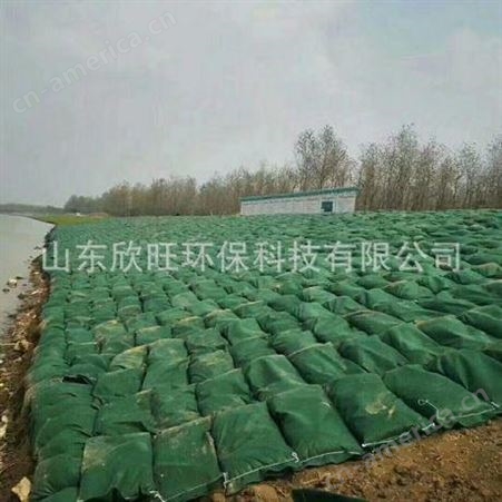 厂家批发绿化生态袋_绿化护坡专用生态袋_绿色土工袋_量大从优