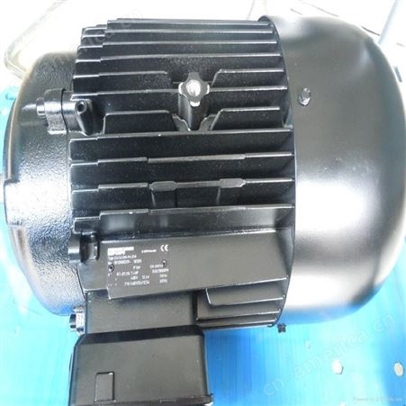 布幔brinkmann泵STA3002/850