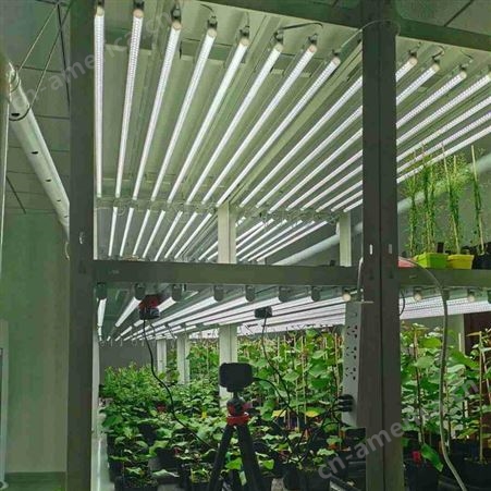 培养架 植物生长架  植物组培灯