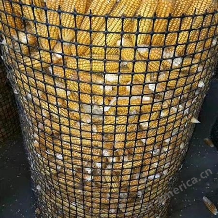 塑料格栅园林防护用A芦溪养殖塑料格栅A圈玉米塑料格栅厂家 奥焱