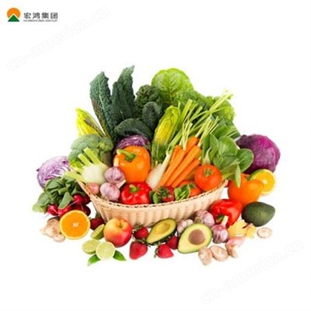 宏鸿集团 :  蔬菜配送 蔬菜配送公司、农副产品配送等全品类一站式配送