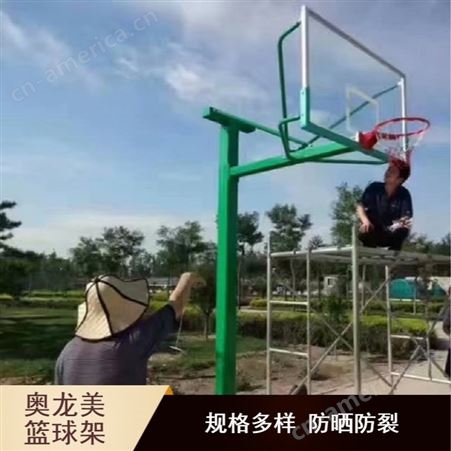奥龙美ALM-207海燕式篮球架生产厂家