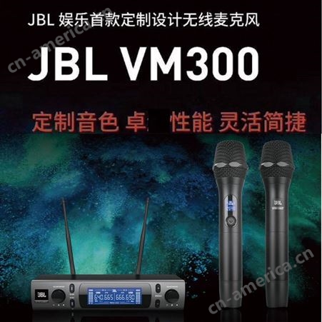 JBL VM300专业无线一拖二KTV家用娱乐无线麦克风会议演出U段话筒厂家批发 JBL无线话筒麦克厂家
