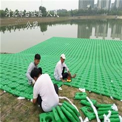 人工生态浮岛 浮板 种植水渠造景 鱼塘水生 荷花苗