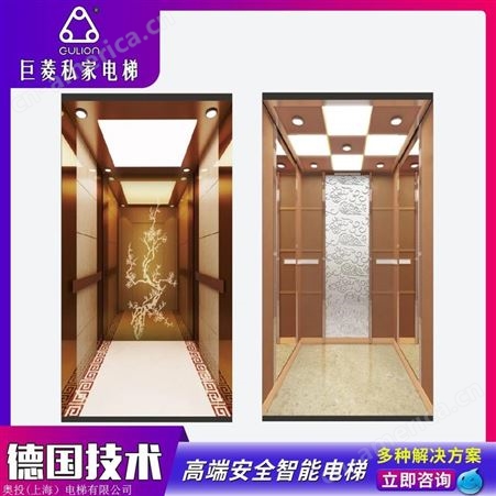 上海螺杆别墅电梯价格 无障碍家用简易电梯4层 Gulion/巨菱