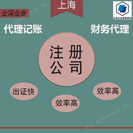 上海公司注册网上申报