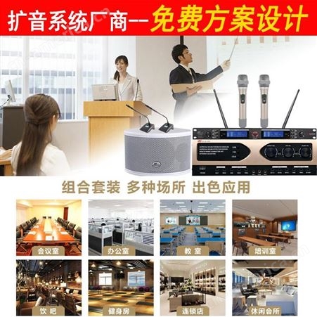 帝琪扩音系统供应厂会议室多媒体系统设计方案一拖二无线桌面台式话筒DI-3800