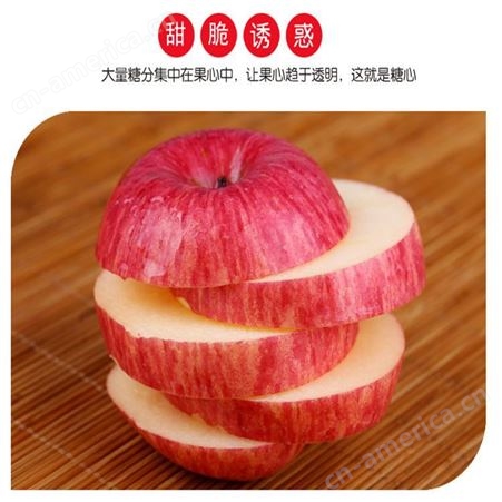 新鲜苹果价格 烟台冷库苹果采购 脆甜多汁好苹果 裕顺价格实惠