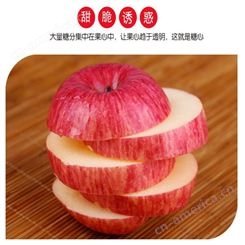 冷库苹果 现货红富士发货快 纸袋红富士很好 裕顺批发发货快