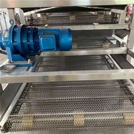 澳星大枣烘干线支持定制  葡萄干烘干线  连续式多层烘干设备