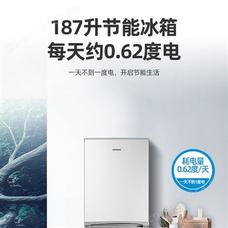 荣事达180187L升大容量两门电冰箱家用小型门租房用节能