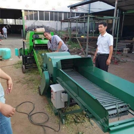 现货出售 小型铡草机 农用秸秆打碎机 链条式传动揉丝机