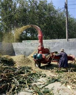 量大从优 欧式铡草机 玉米秸秆碎草机 链条式传动揉丝机