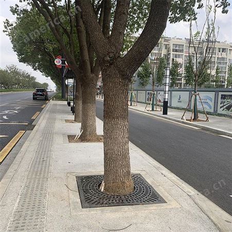 普罗盾铸铁树篦子树坑盖板铁艺树穴护树板市政绿化树池盖板