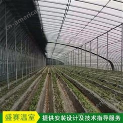 单体日光温室大棚 蔬菜温室大棚 花卉种植大棚 按需供应