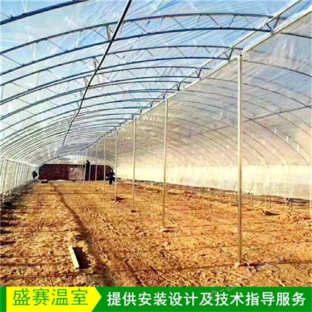定制郑州市双膜骨架蔬菜大棚材料 盛赛供应钢架大棚骨架 种植大棚