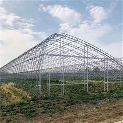 盛赛生产 花卉种植大棚 连动温室工程 水果种植采摘大棚