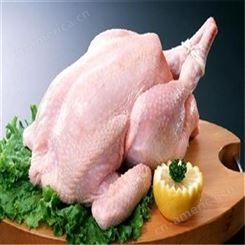 辽宁沈阳鸡肉调理品    信生牧业肉   鸡肉食品厂家    鸡肉冻品鲜品