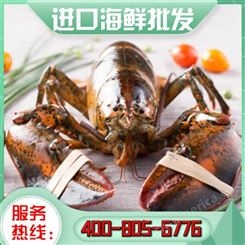 嘉汇荣 超市进口海鲜批发 进口海鲜散装批发 精选厂家