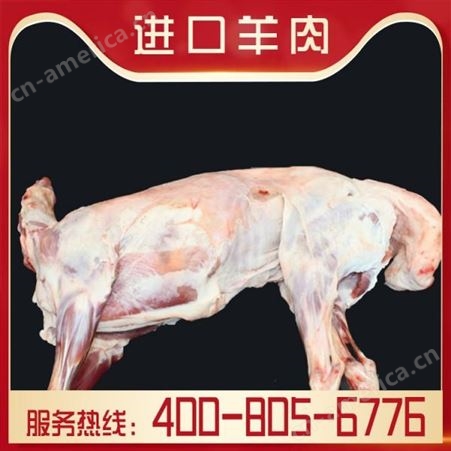 嘉汇荣 羊肉一斤价格 进口羊排厂家