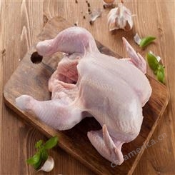 重庆鸡肉厂家    肉鸡食品厂家    信生牧业     鸡肉冻品鲜品调理品批发