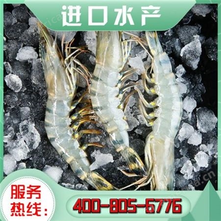 嘉汇荣 冷冻进口水产 进口新鲜冷冻大黄鱼 大量出售