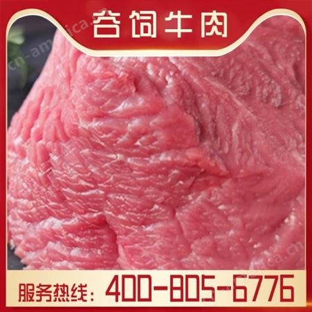 嘉汇荣 进口牛肉礼盒 进口牛前部位肉 价格