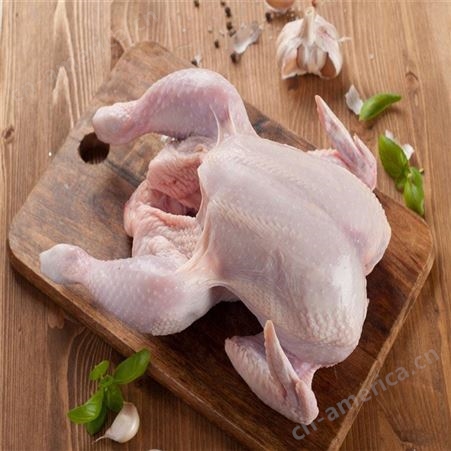 沈阳新鲜鸡肉销售   信生牧业   肉鸡加工厂家     鸡肉加工厂家