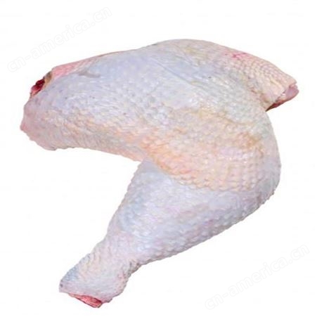 辽宁肉鸡食品加工厂    鸡肉鲜品冻品    信生牧业    食品鸡肉代理