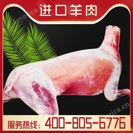 嘉汇荣 羊肉一斤价格 进口羊排厂家