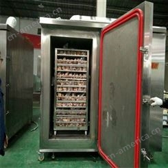 天津越南榴莲食品加工设备 食品速冻机生产厂家