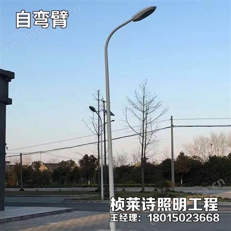 市电LED路灯4米5米6米7米8米路灯杆A字臂户外超亮道路灯景观灯