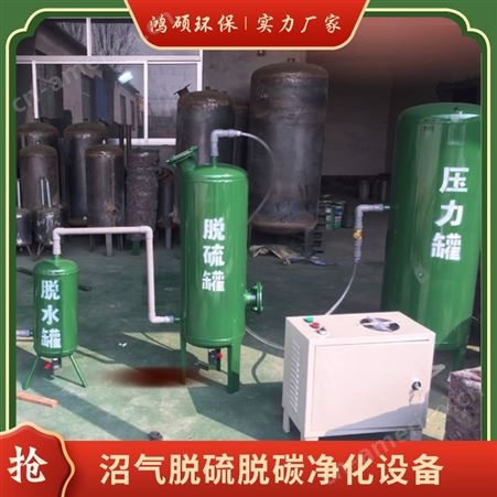 沼气脱硫器 定制干式脱硫罐 高效净化设备 加厚不锈钢脱硫净化塔