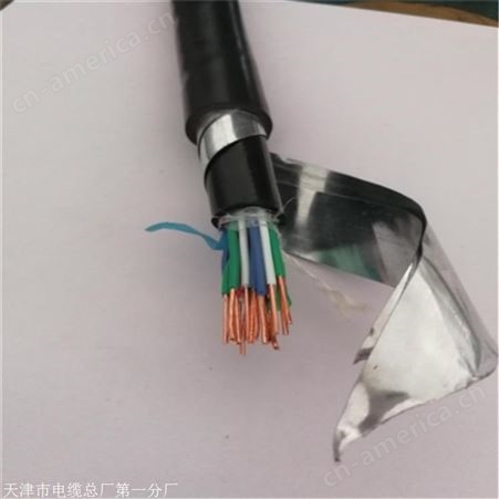 PTY23-9芯信号电缆天津天联牌