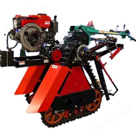 大姜全自动收获机 志为鲜葱收割铺放一体机 拖拉机悬挂式挖葱机