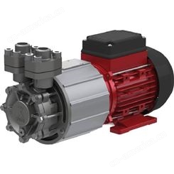 speck 油泵 SKS3301L0-000-20001德国进口
