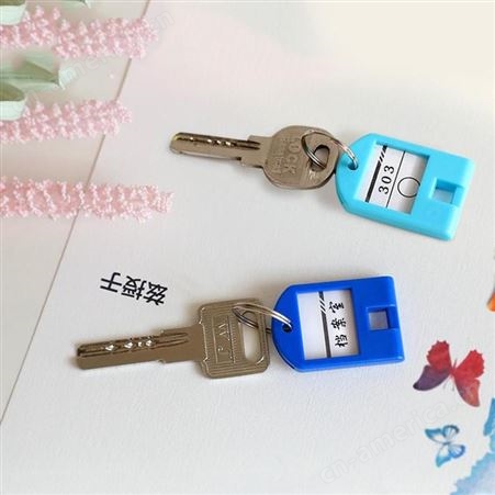 迅想 彩色钥匙牌 钥匙扣分类标记钥匙标签牌子 钥匙管理 办公钥匙吊牌贴 50个装 办公用品9848
