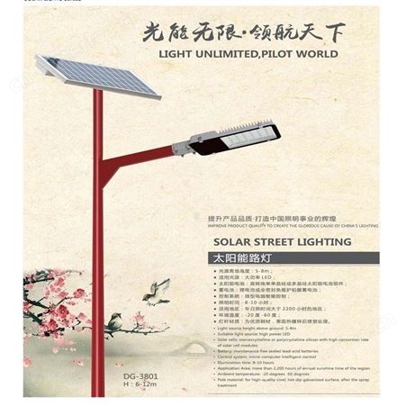 劲辉新农村景区广场景观照明灯 5米带中国结太阳能路灯