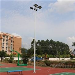 丽江市体育场灯杆 8米篮球场照明灯杆 优格体育照明系列
