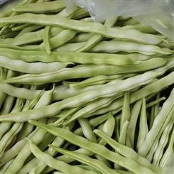 盘锦市优质供应芸豆批发 四季豆 新鲜蔬菜 供应商